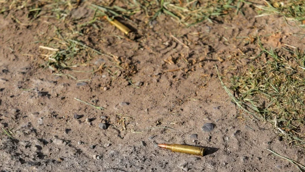 0f78d1b542464b7e86595c04ec9c9293