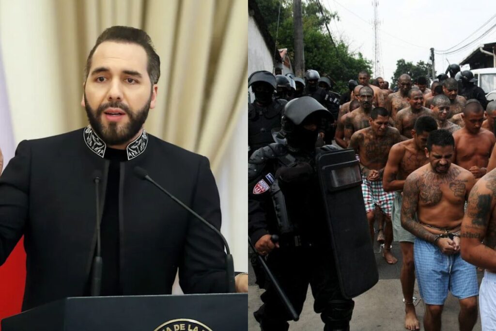 3b093ce844914bbc9fcefb86a9ea0807