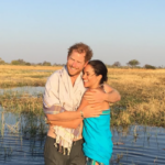 3c55530b89eb48ac8d4d7f209420cf7c