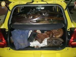 6e052856485d4c1193ea5ac4730e3222