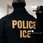 799b339fc8fe49009b6ddf4458faa058