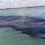 7bcc8c93e18842c196bd84512a607f59