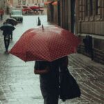 873e512acc5b4a36a472ba52afeab229