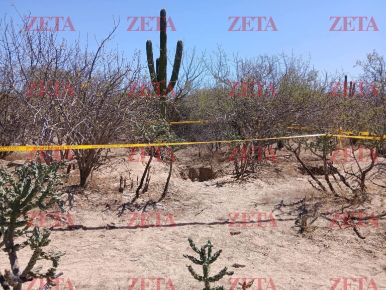 a23410edf3264a71a5566f34506611cc