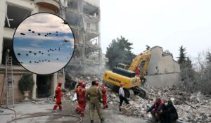 b5f33832a1a442c29627bab6d708e519