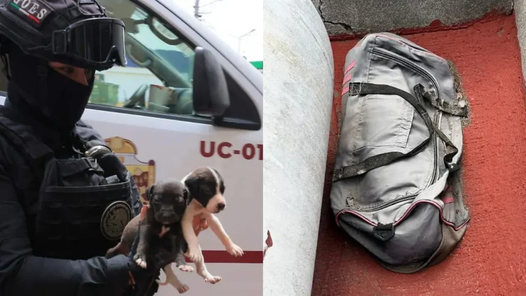 bdabbe3b45fa48b6920ad60b5f76be87