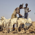 be8b9df21b084cf785ac20a7de31d9f8