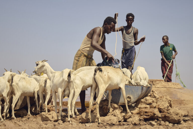 be8b9df21b084cf785ac20a7de31d9f8