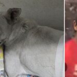 c50bcf1e311a49579c8a0a3c2b5a19b4