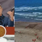 caa0a12e1b934910a100446451d383ca