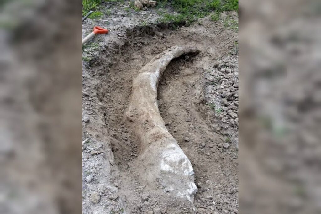 d2a9a036f4564e0dab52847e402f276e