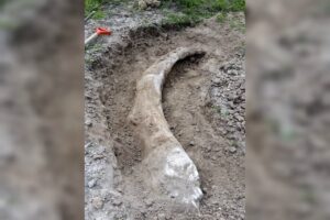 d2a9a036f4564e0dab52847e402f276e