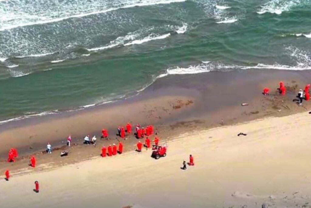 e59794a92503481f81e4fb985c8ed16d