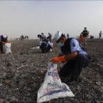 e85296041aca41fdaca69ce6adb5ee95