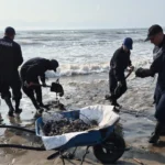 ee06519c91c34c21995f216c80985f52