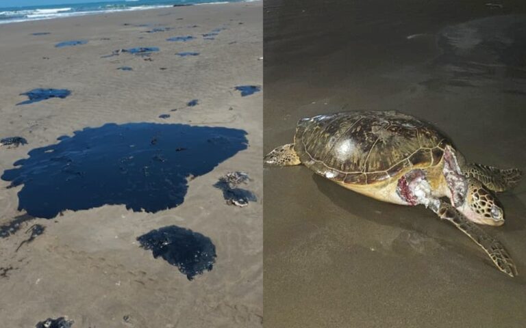 f270e4039626439596ad4a97837fb0f3