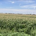 f29a5f39acae4bcdbc25136d742996f5