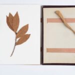 0aaeaa61a0ae425a8f39ff75e87d54e7