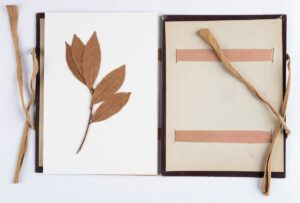 0aaeaa61a0ae425a8f39ff75e87d54e7