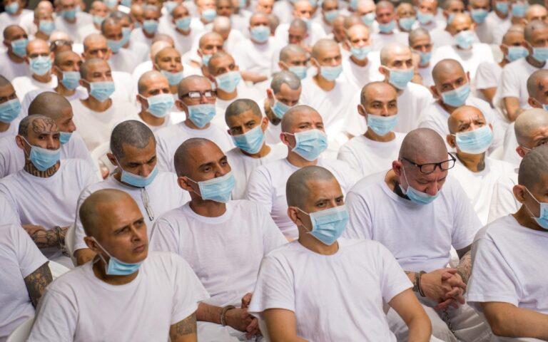 1c095680cfe84b23980dcc390e46f989