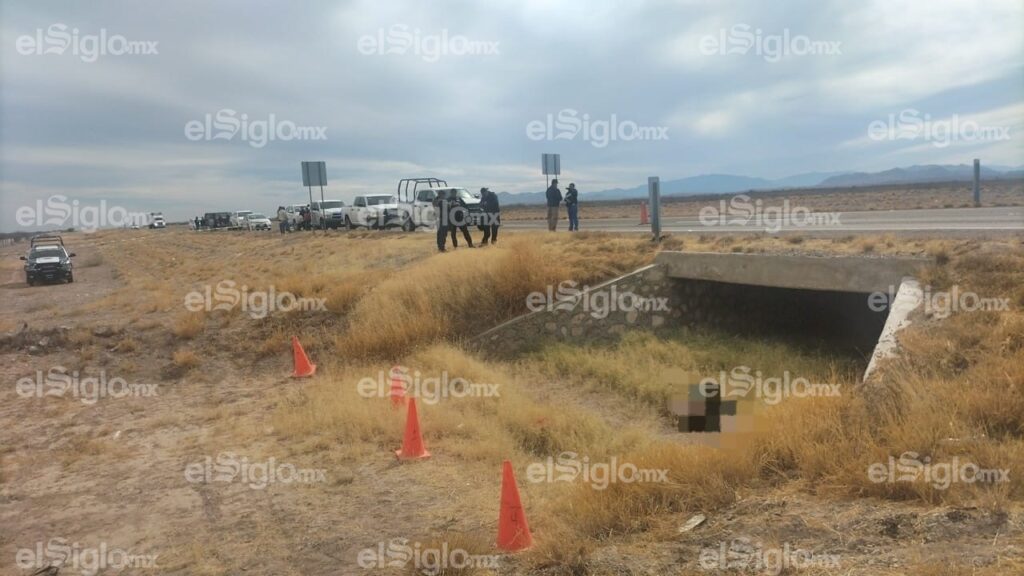 1ce4ed43f4534f298e3afdc8331db3b2