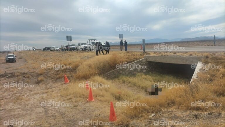 1ce4ed43f4534f298e3afdc8331db3b2