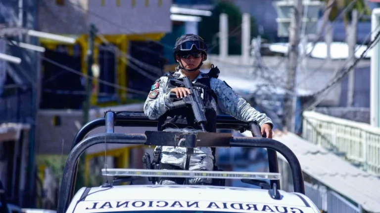 204fa526773d4964848aa273163978e3