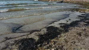 2f23ffdedb574eb1b583a711af1345ba