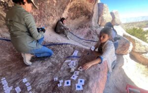 2fe7bac805fe405286568800f914e39c