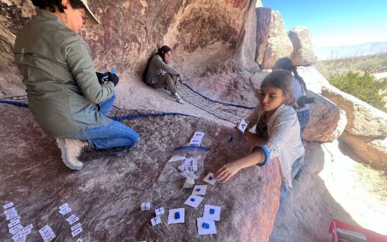 2fe7bac805fe405286568800f914e39c