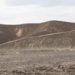 425231044e9e4ed6b1b21c2e4c655994