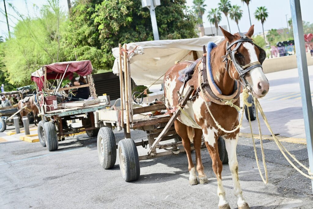 43492dd539fe4f278e7592b7b0d66c53