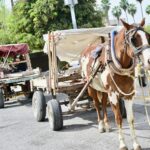 43492dd539fe4f278e7592b7b0d66c53