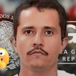 52806e0c55564c3ab9962c3dd906e4c2