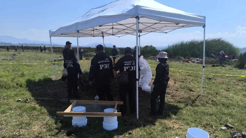 56f985f9ec9545ef871d01d7a23220c2