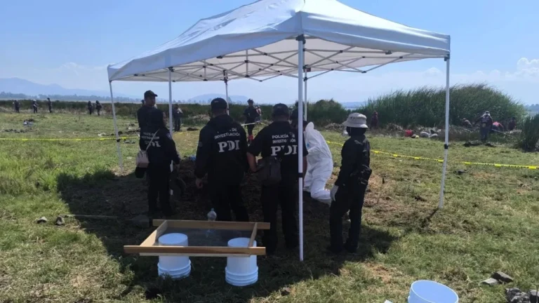 56f985f9ec9545ef871d01d7a23220c2