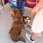 5cdf8ddb24f845d2b2a77b6797b71362