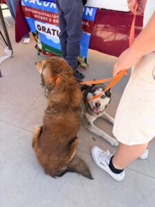 5cdf8ddb24f845d2b2a77b6797b71362