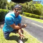 617fcac4f81a40478d80b3764ddb1b04