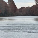 6368fa5c5bef495daf922e32db8cb12e