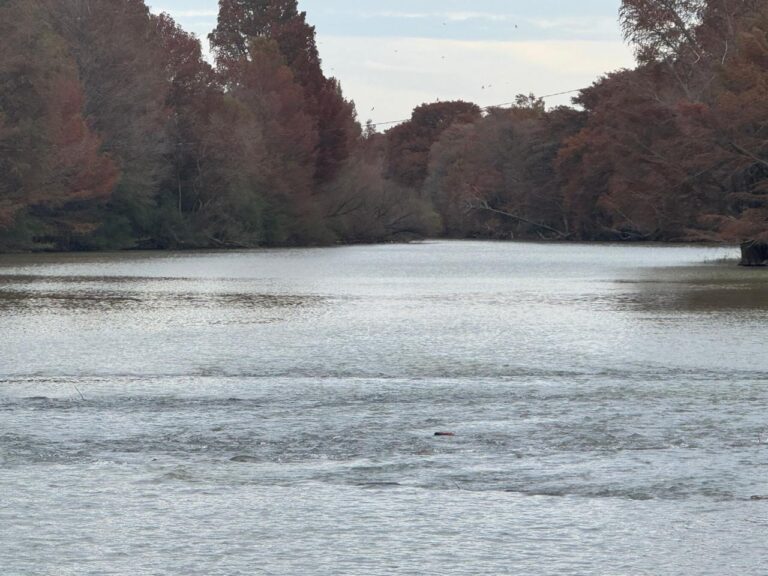 6368fa5c5bef495daf922e32db8cb12e