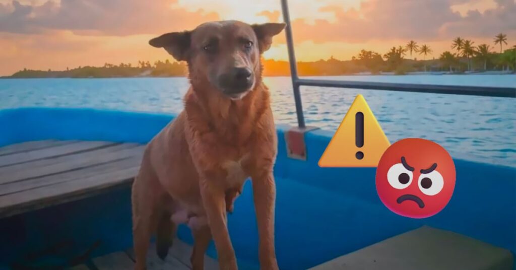 680bf90a7d9f4497bc8f2774fd24e370