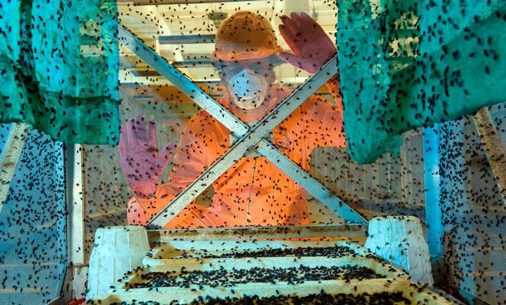 7965c6c8e5f94ca686e5b28803a8ab57