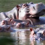 980b81fc963c4bccaef2f57edd0b1cf2