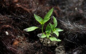 9aa6477a45f04a15bd91cafd57e7702b