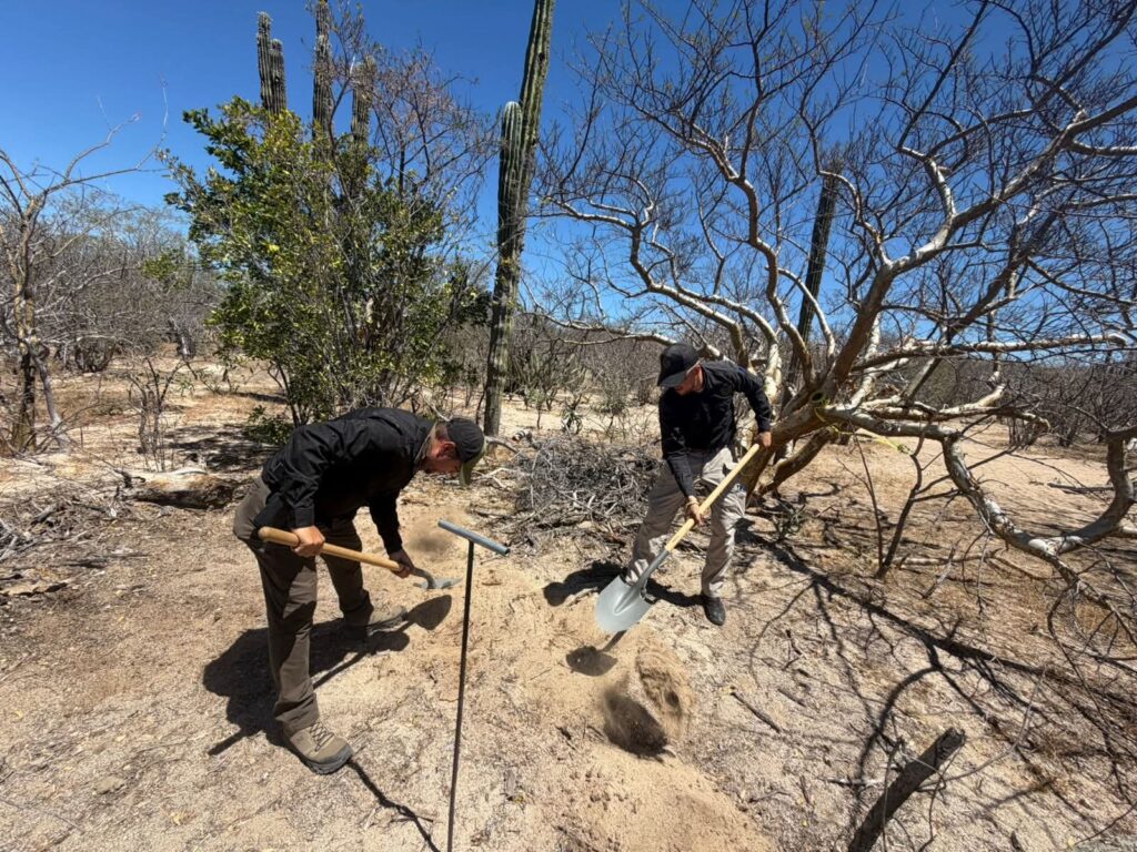 a230041f2f4c4e20baedfec5039487cc