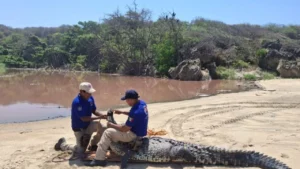 bd107b0711eb4e5f85e042c13ea6462e