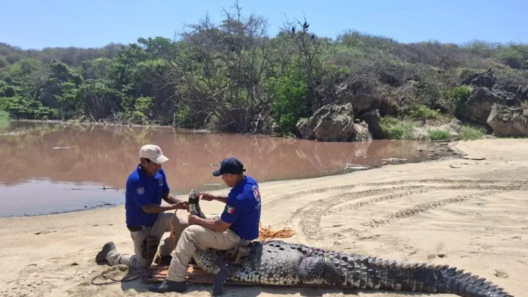 bd107b0711eb4e5f85e042c13ea6462e