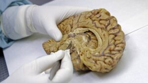 2b0b7d2c28bd4688a22fc37af73891c6