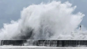 619019dfdc3749a9bc6ac2ed6ef55257